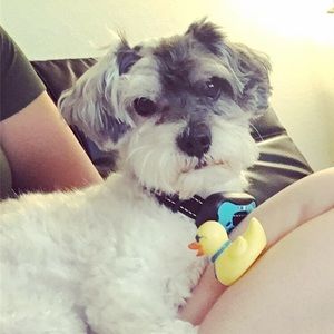 Meet your Posher, Cindy